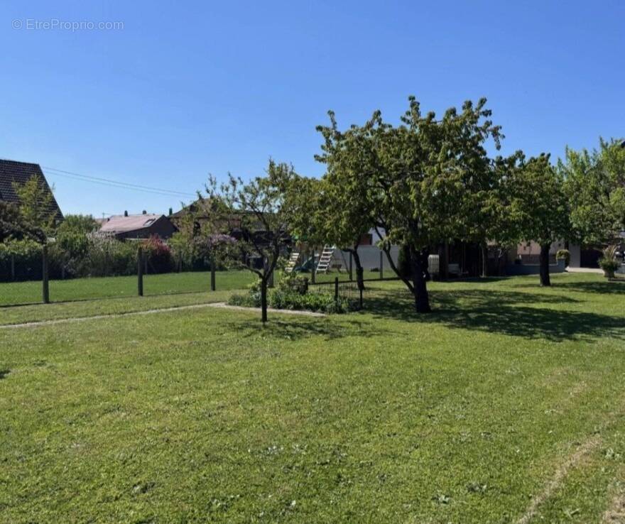 Terrain à PLOBSHEIM