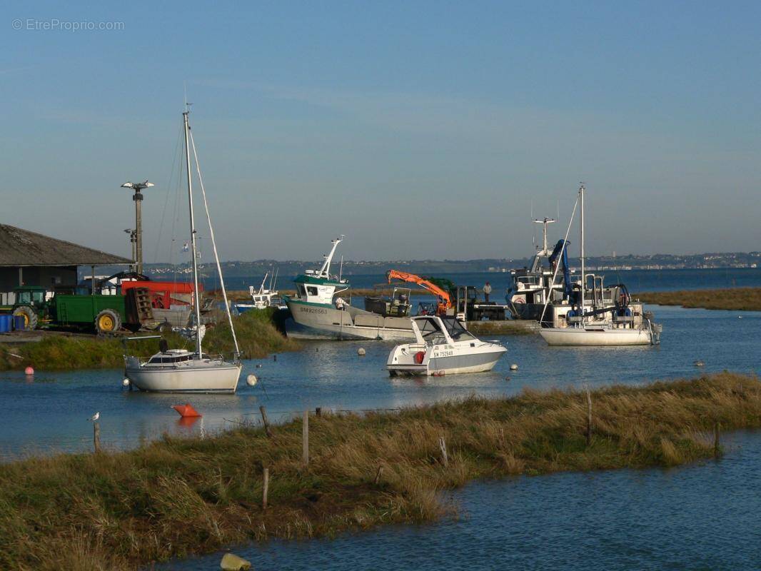 Terrain à LE VIVIER-SUR-MER
