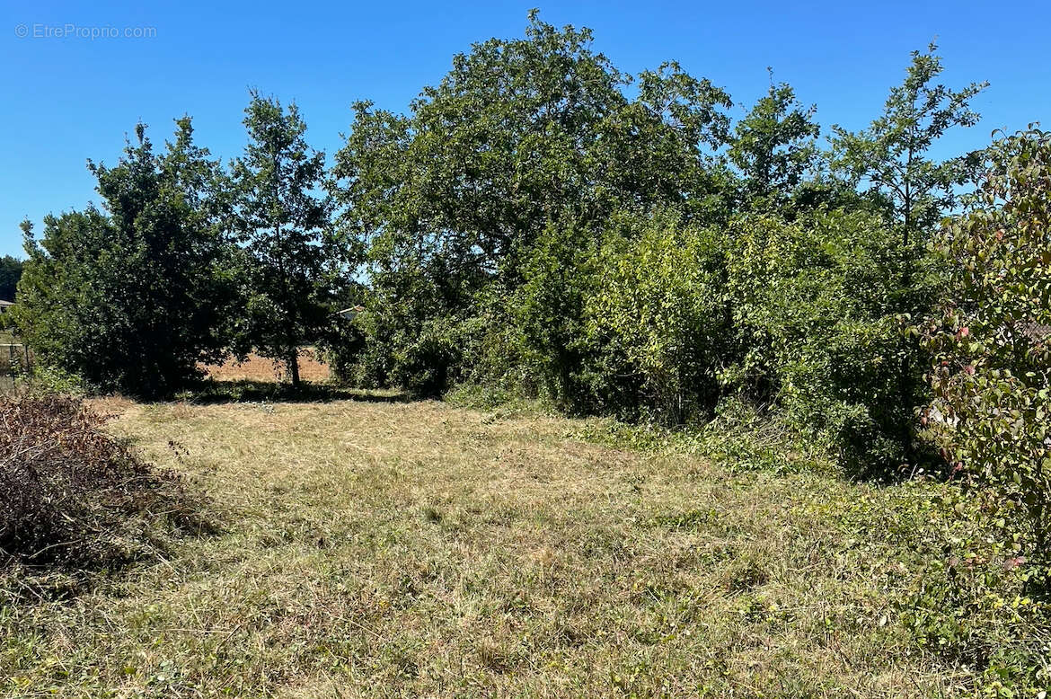 Terrain 694 m² à Vouleme  - photo 2