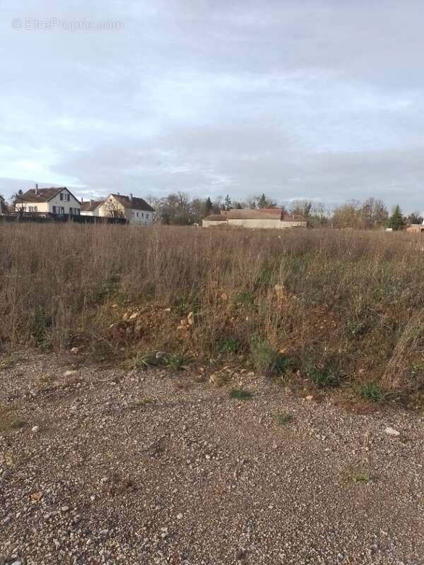 Terrain à SENLIS