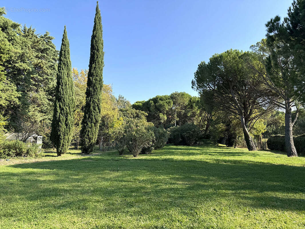 Maison à VILLENEUVE-LES-AVIGNON