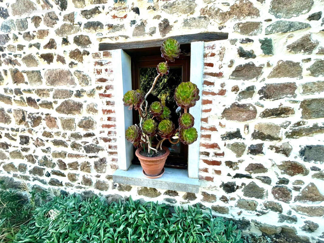 Maison à LES SALLES