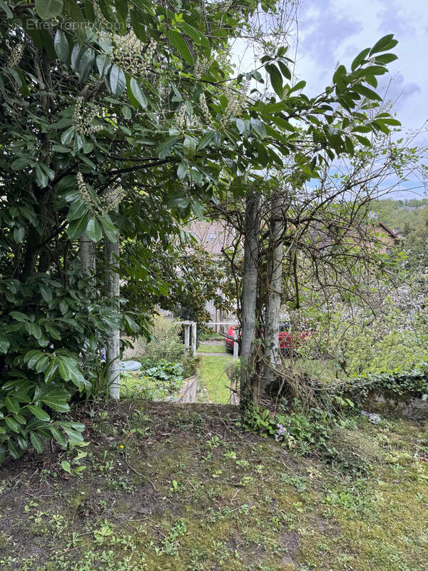 Terrain à LE THILLAY