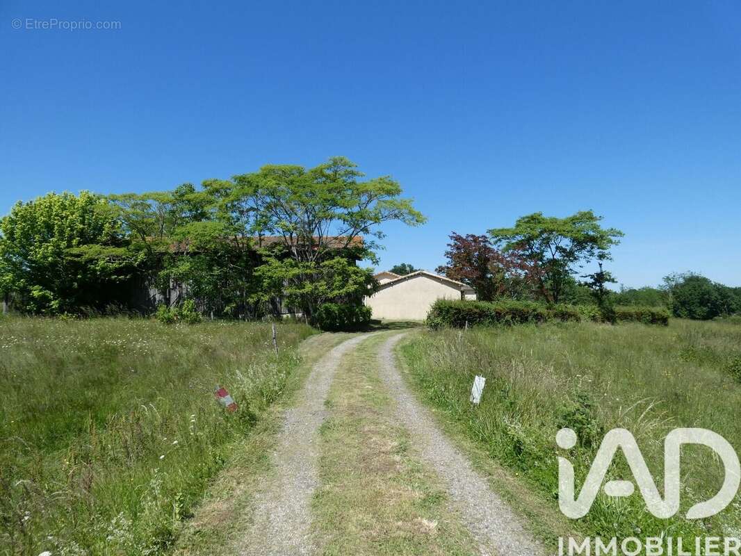 Photo 3 - Maison à BAZAS