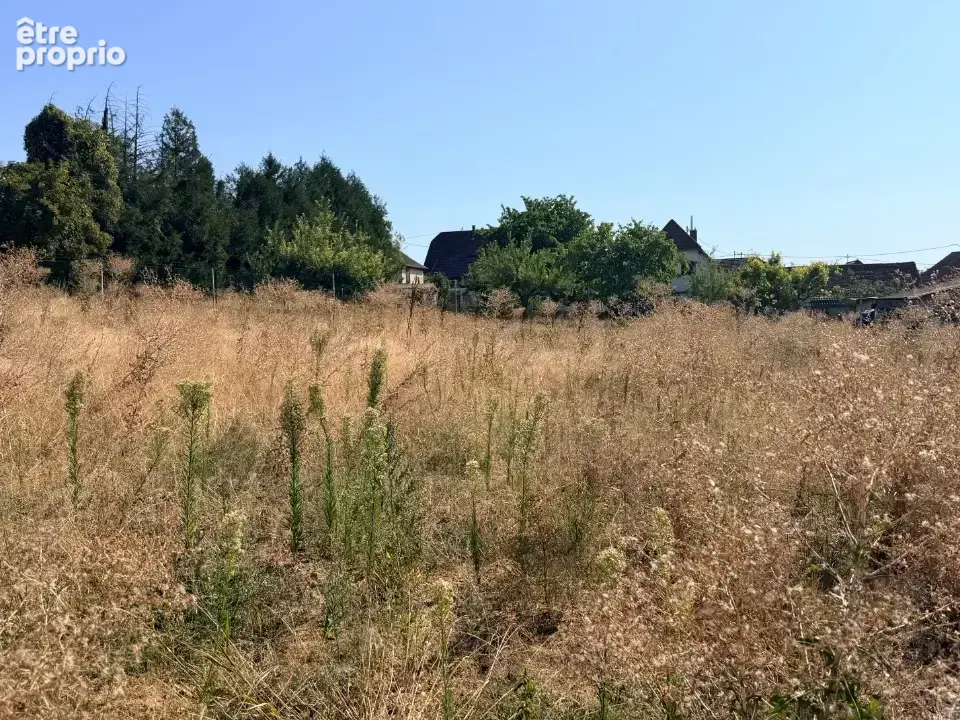 Terrain à SCHNERSHEIM