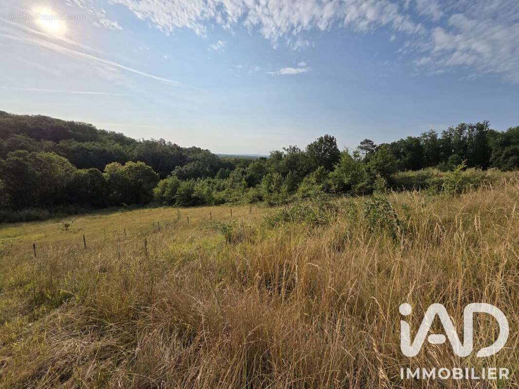 Terrain 8108 m² à Le Fleix  - photo 4