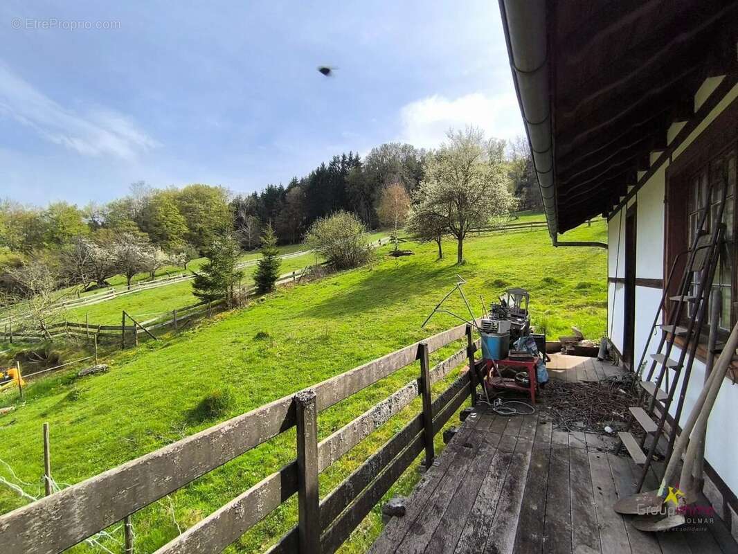 Terrain à LE HOHWALD