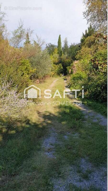 Photo 3 - Maison à SAUVE