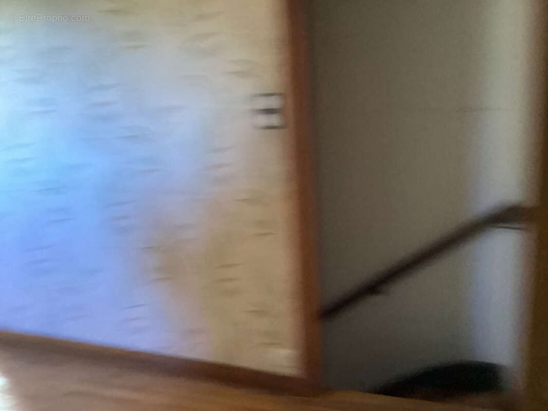 Maison à LE MONASTIER-SUR-GAZEILLE