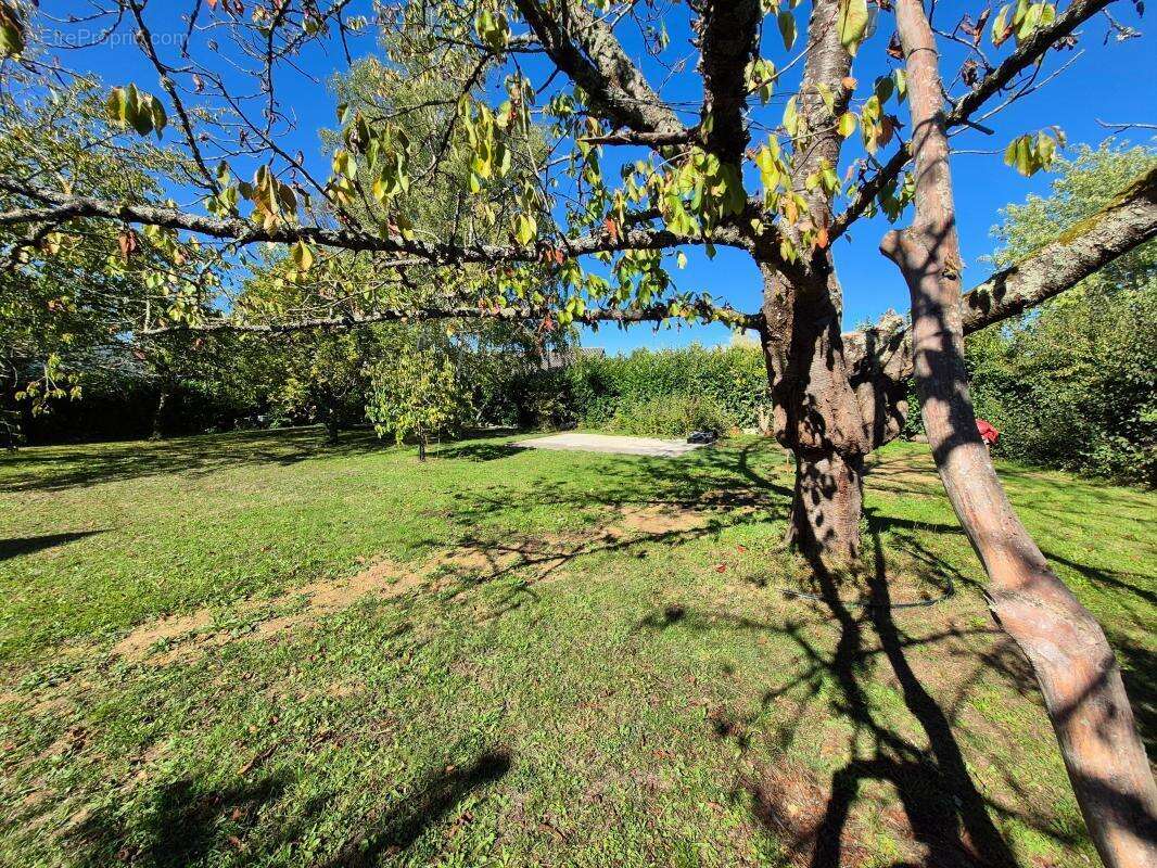 Terrain à CHAMBOURCY