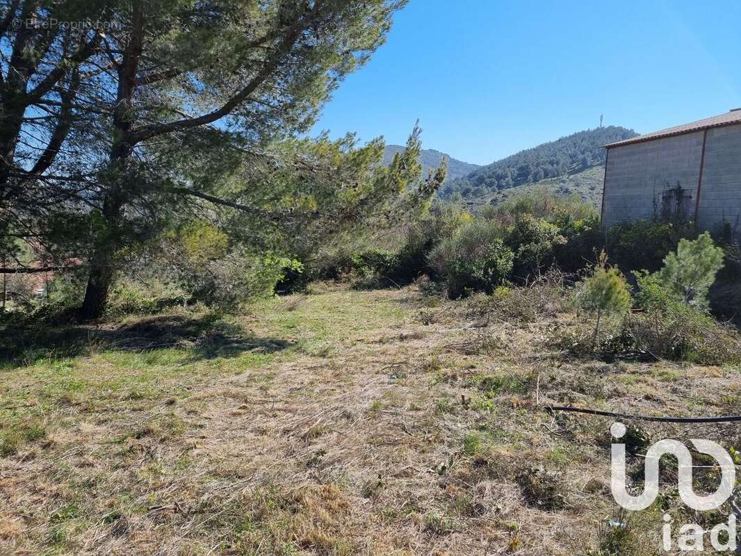 Terrain 1318 m² à Villeneuve-Les-Corbieres  - photo 5