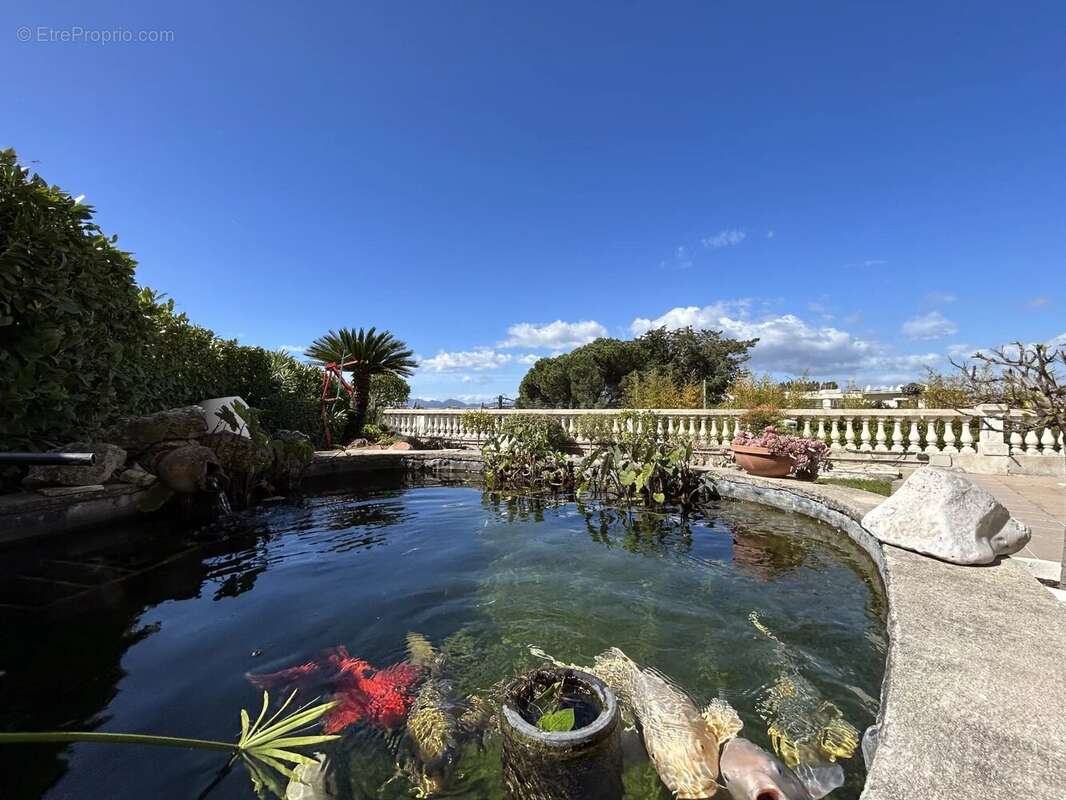 Le cannet roi albert - appartement villa - photo 15