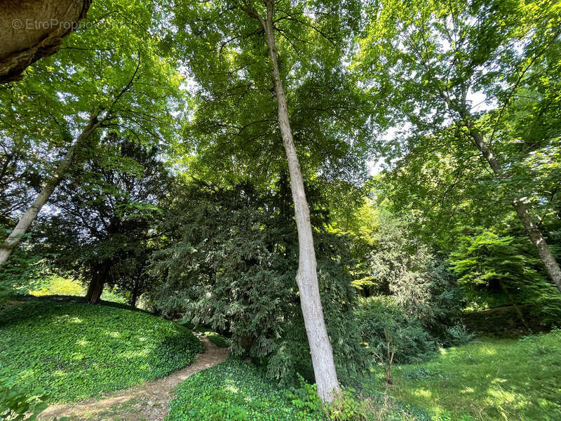 Appartement à SAINT-GERMAIN-EN-LAYE