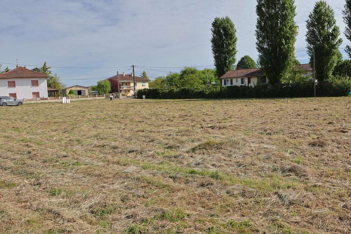 Terrain 1037 m² à Chevroux  - photo 4