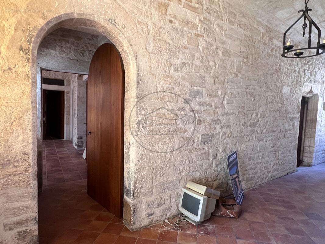 Demeure de prestige Barjac - photo 7