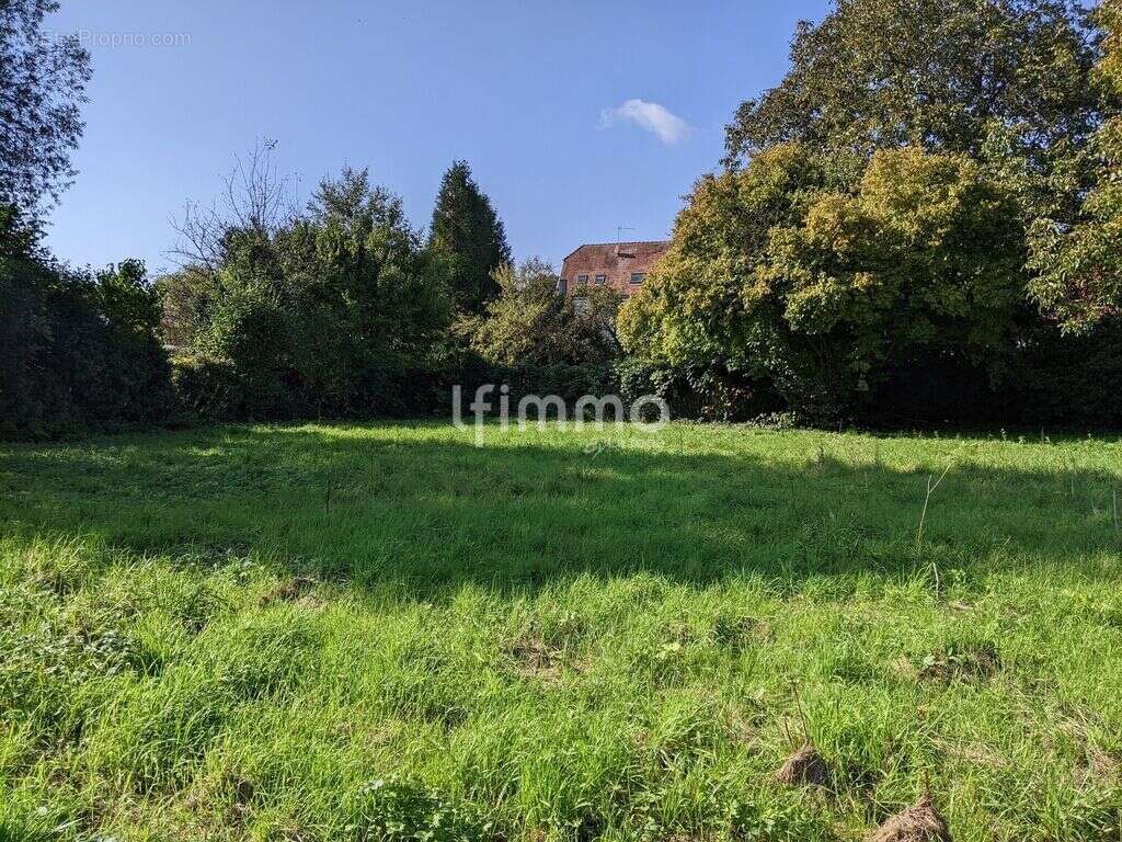 Terrain à SOULTZ-SOUS-FORETS