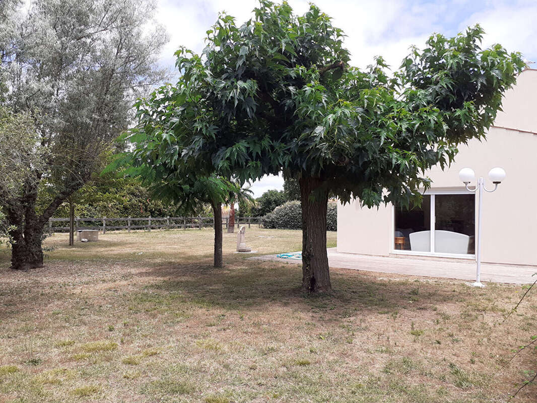 Grande Maison à La Cotinière  7 pièces 160 m² hab. - photo 3