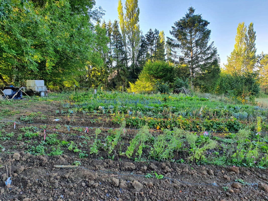 Terrain à SIGNY-LE-PETIT