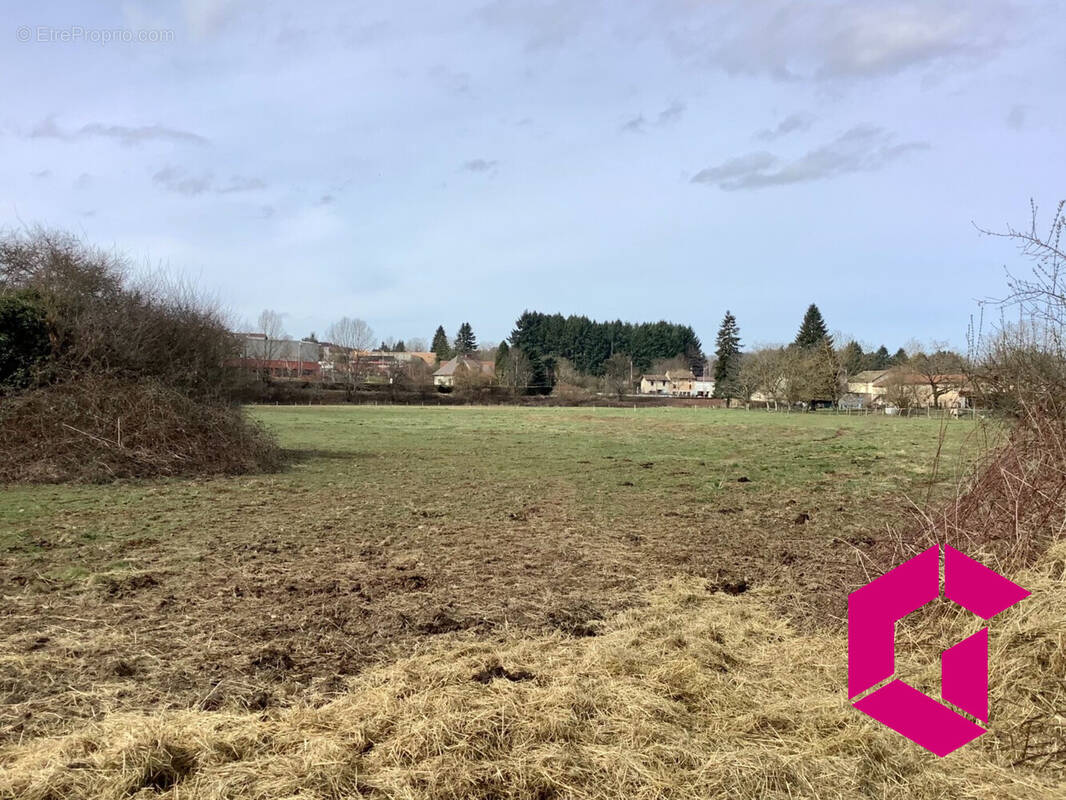 Terrain à COURPIERE