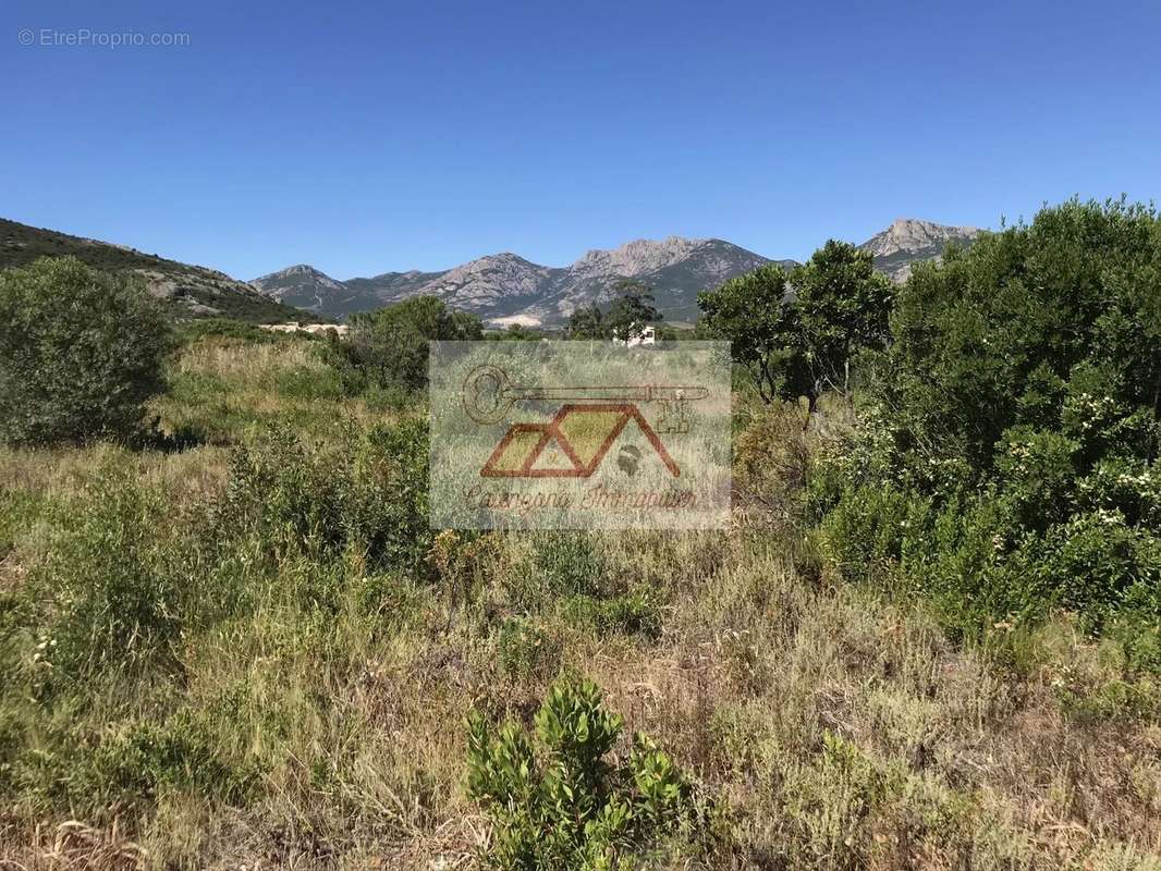 Terrain à CALVI