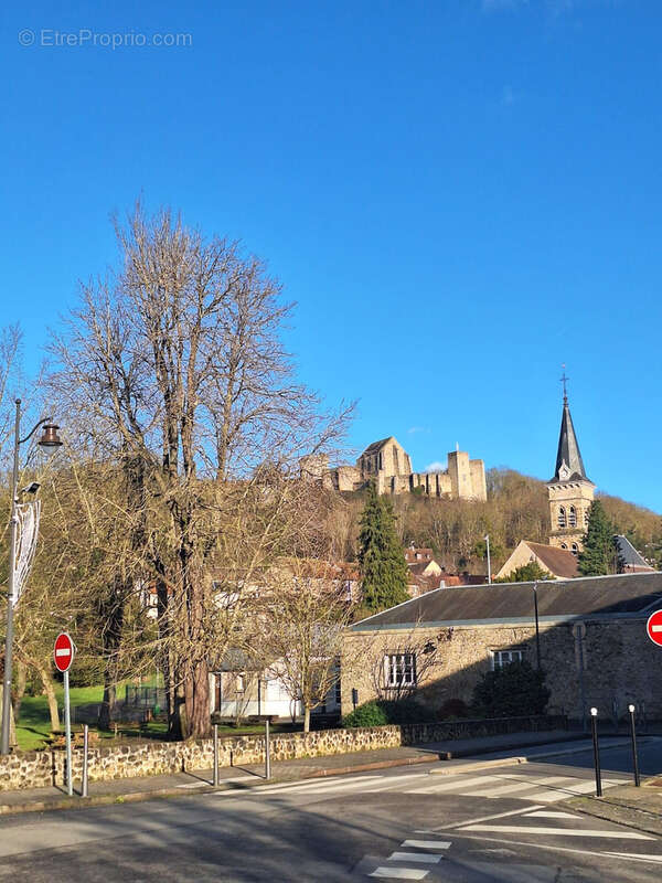 Maison chevreuse - photo 2