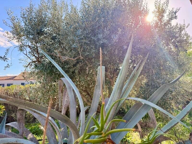 Maison à RIEUX-MINERVOIS