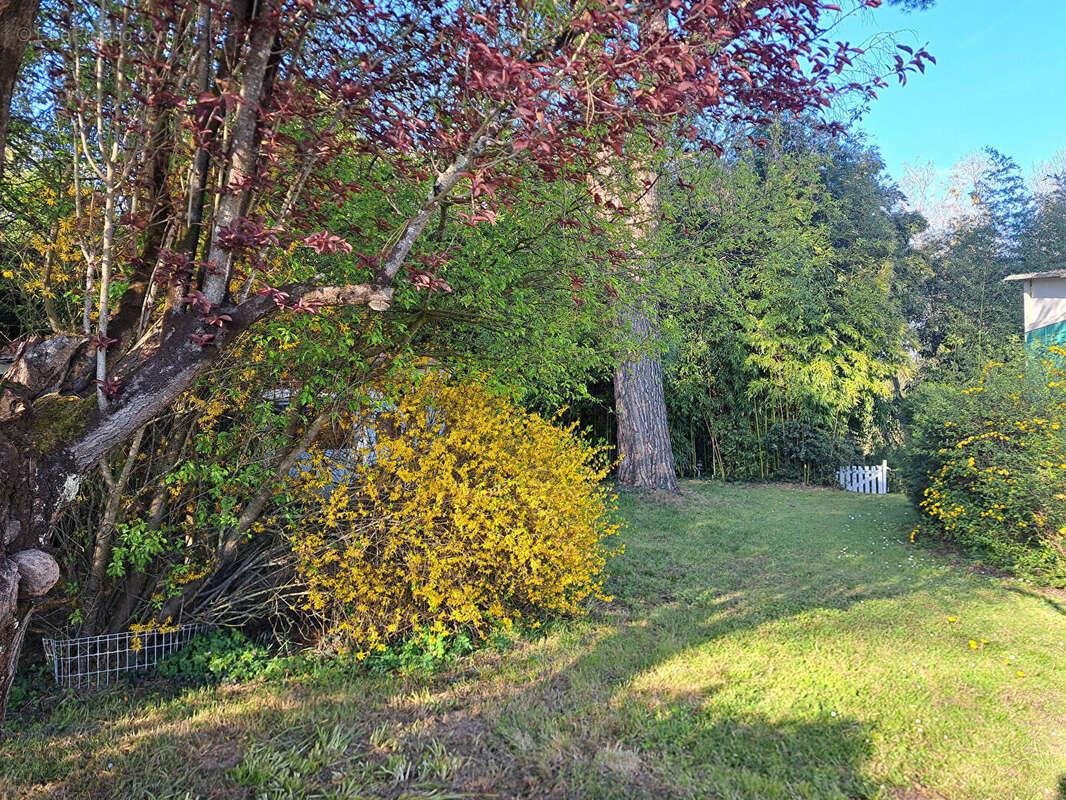 Autre à VOUNEUIL-SUR-VIENNE