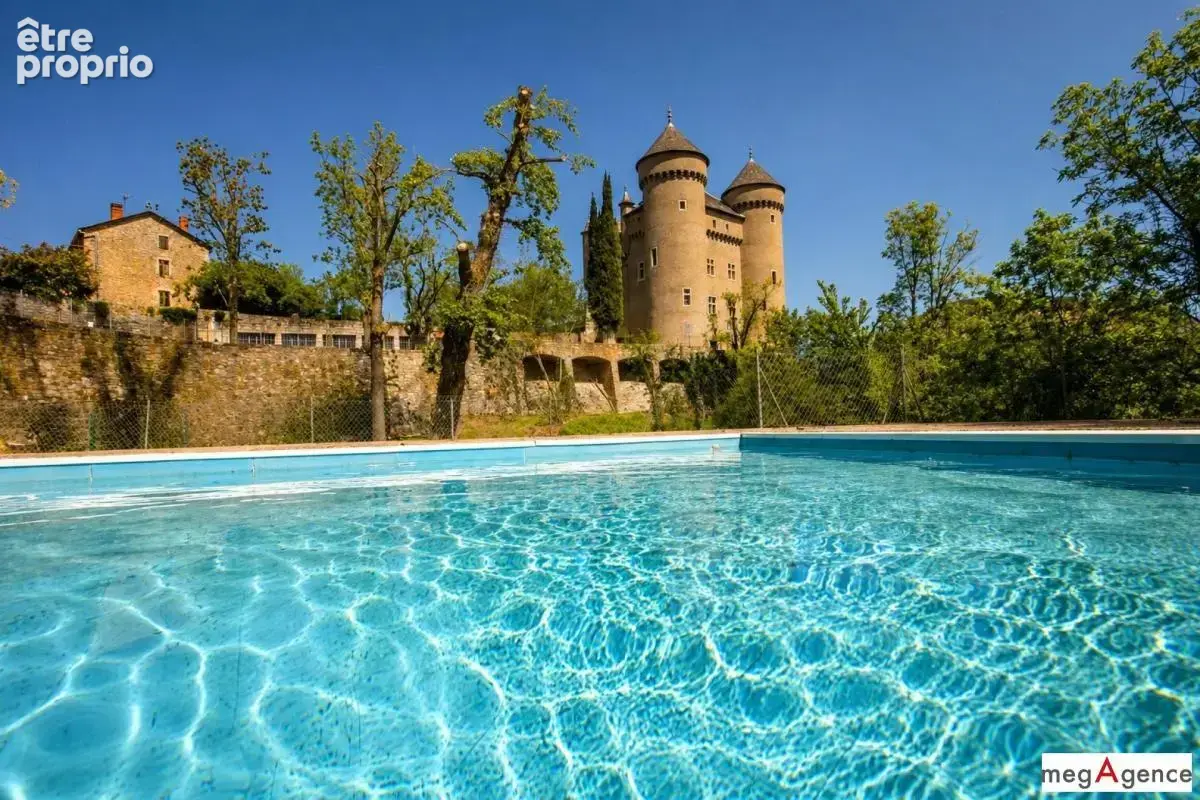 Château avec chambres d’hôtes, activité clé en main et cadre nature - photo 2