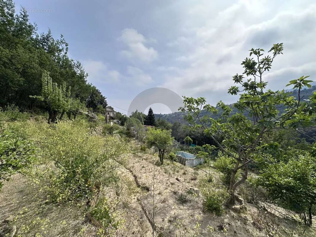 Terrain à MENTON