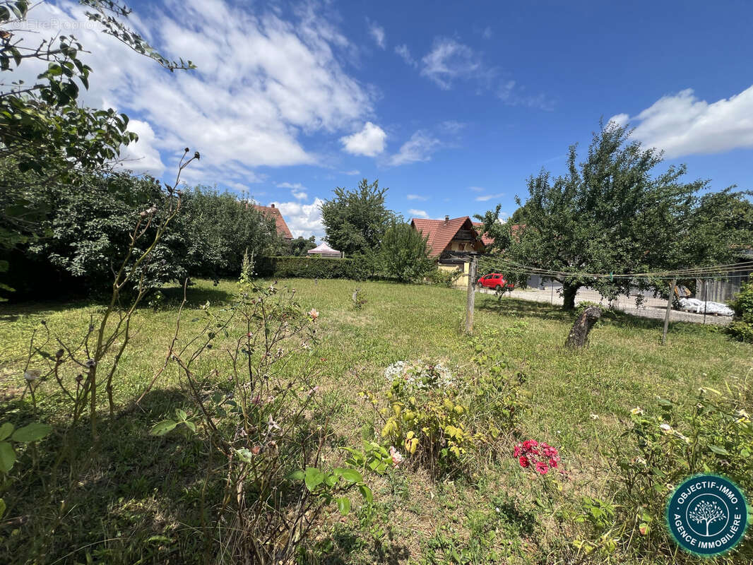 Terrain à WILLGOTTHEIM