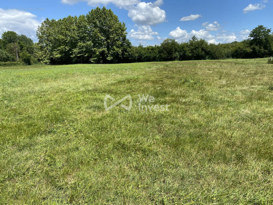 Terrain à NARCASTET