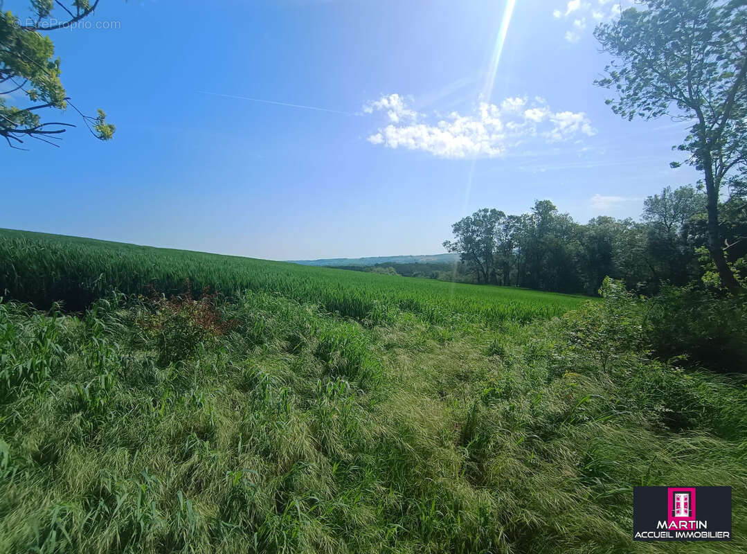 Maison à SAINTE-LIVRADE