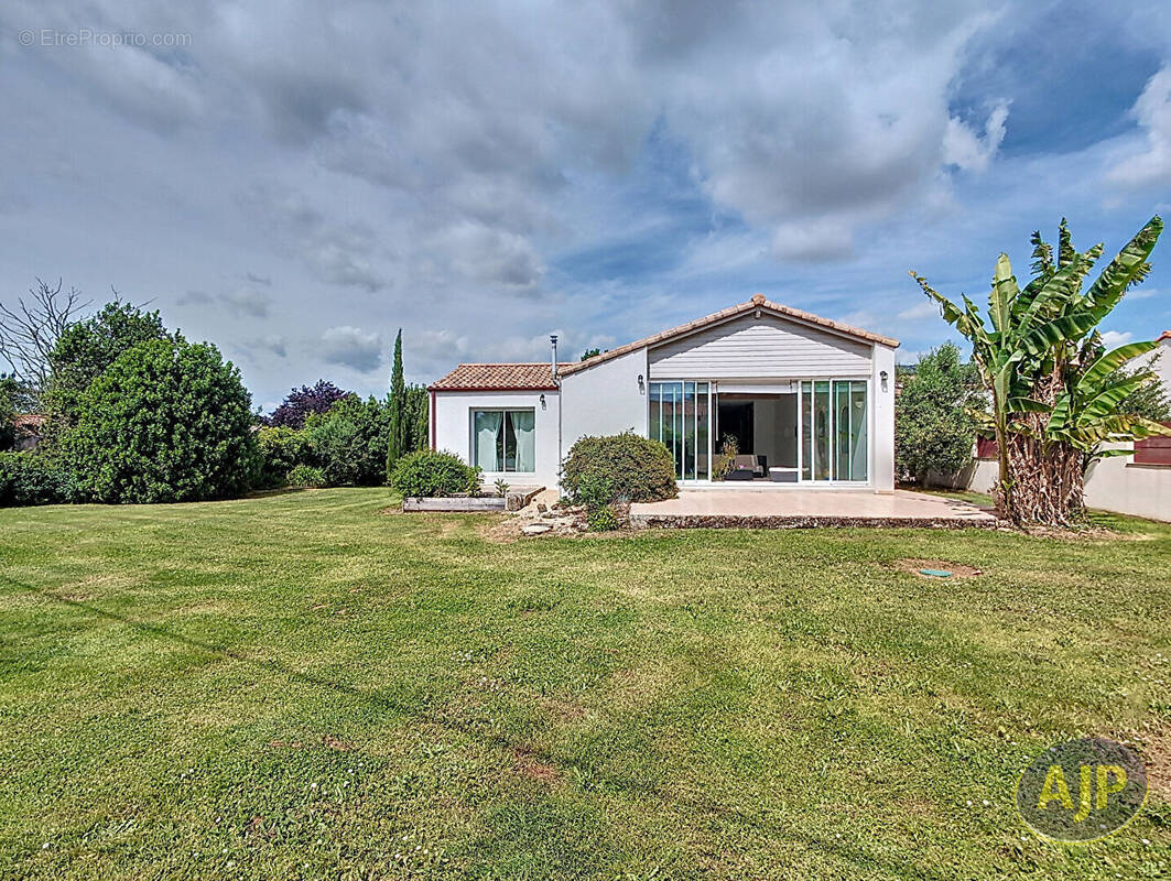 Maison à VIEILLEVIGNE