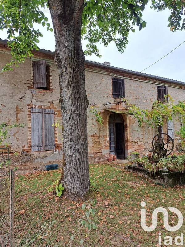 Photo 1 - Maison à SAINT-NICOLAS-DE-LA-GRAVE