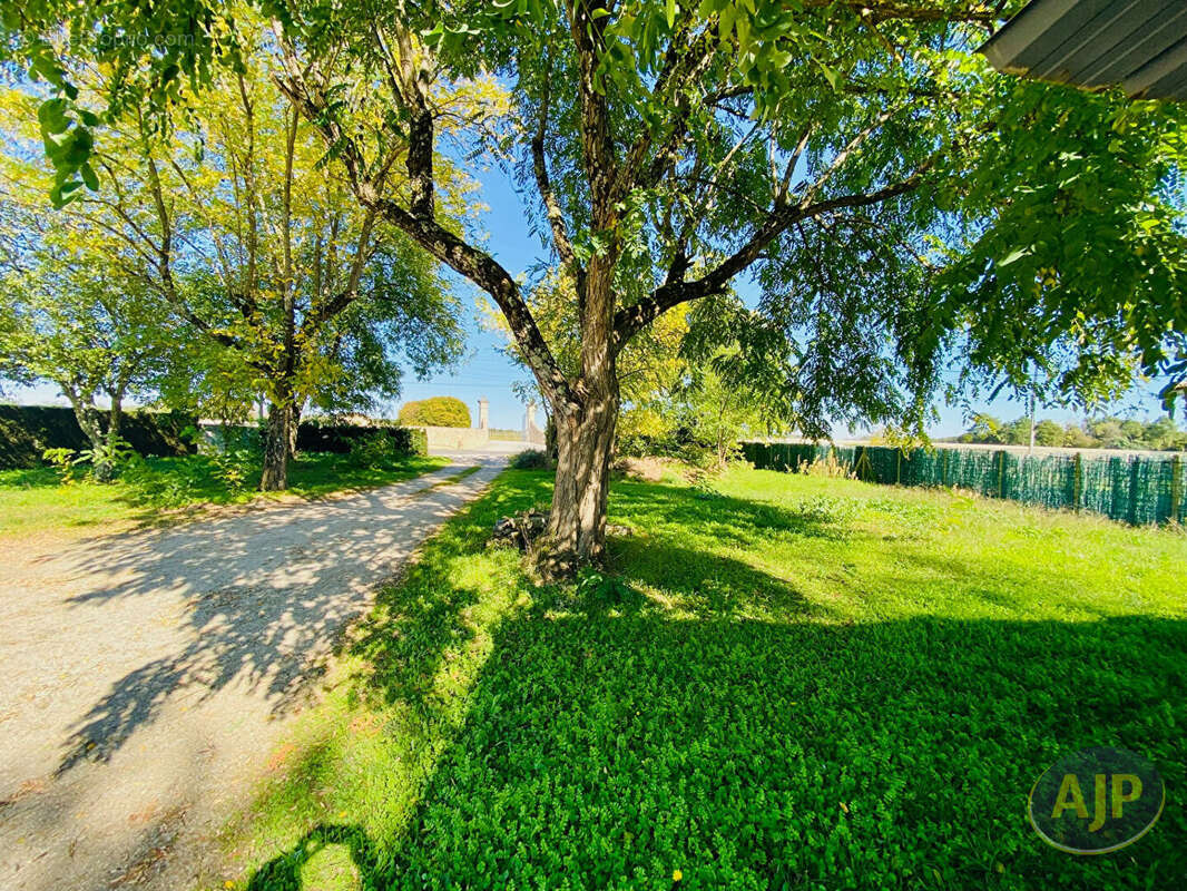 Terrain à LESPARRE-MEDOC