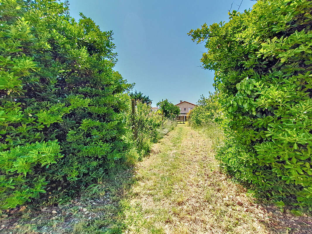 Terrain à ANGOULINS