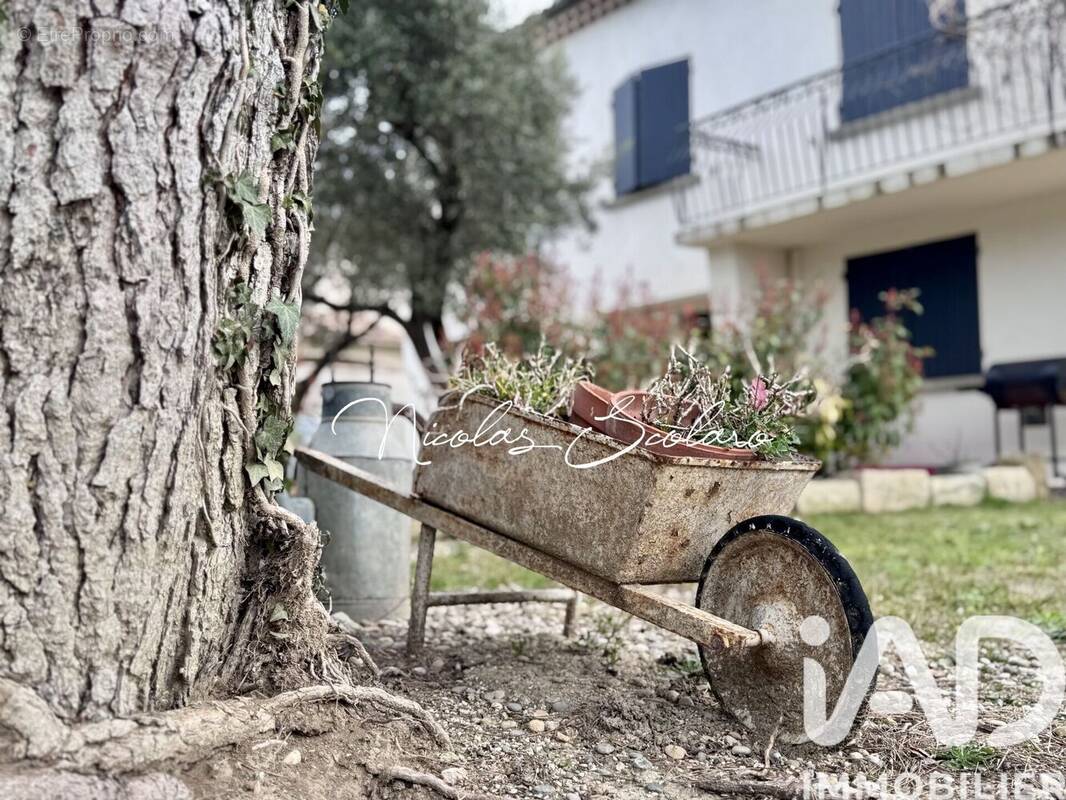 Photo 1 - Maison à ENTRAIGUES-SUR-LA-SORGUE
