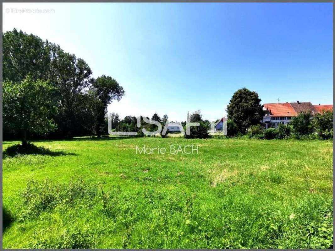 Maison 563 m² à Ottwiller  - photo 2