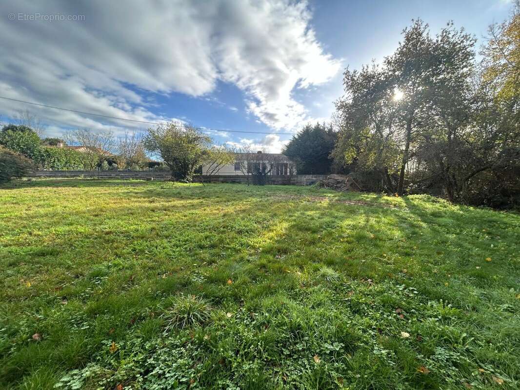 Photo 3 - Terrain à BARBECHAT