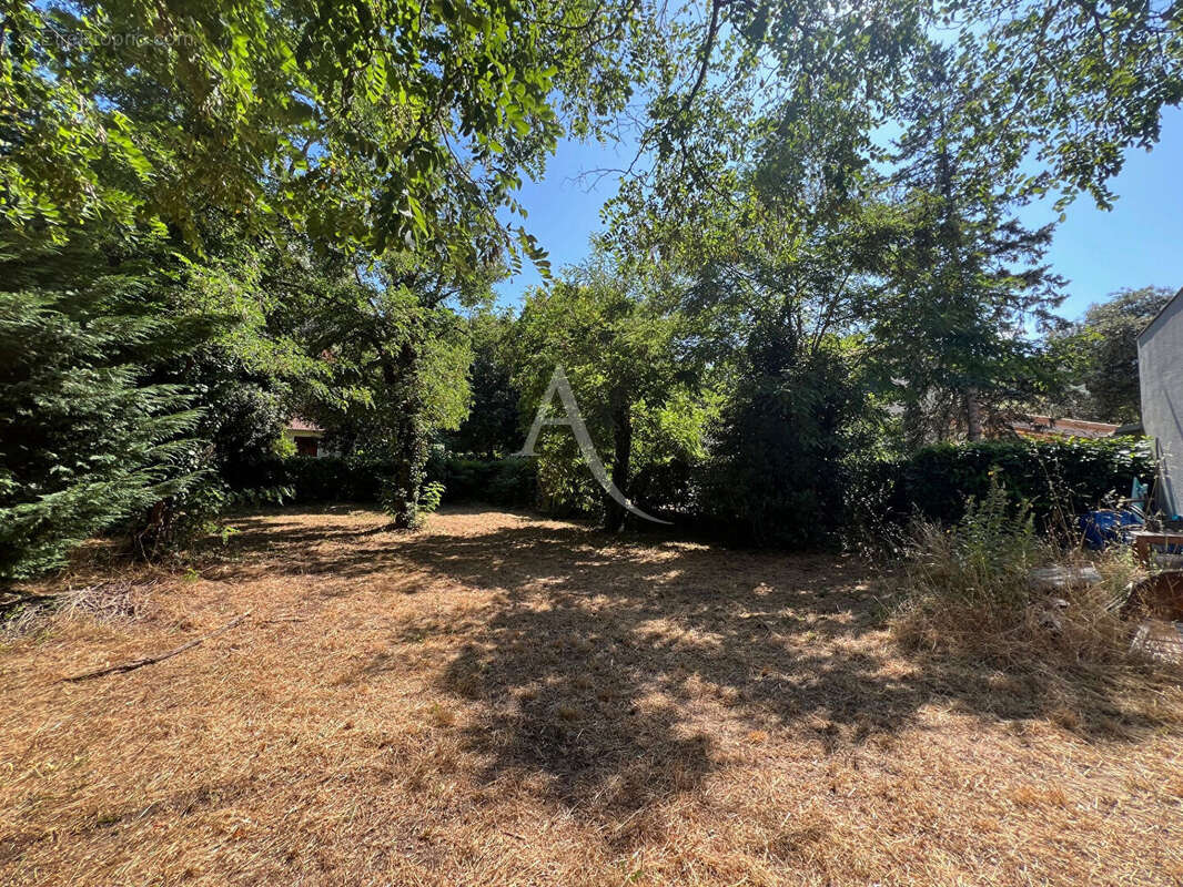 Terrain à LONGEVILLE-SUR-MER