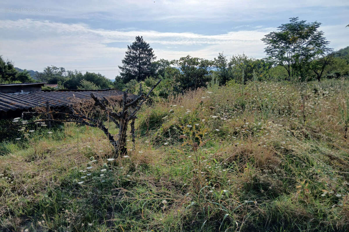 Terrain à REYNES