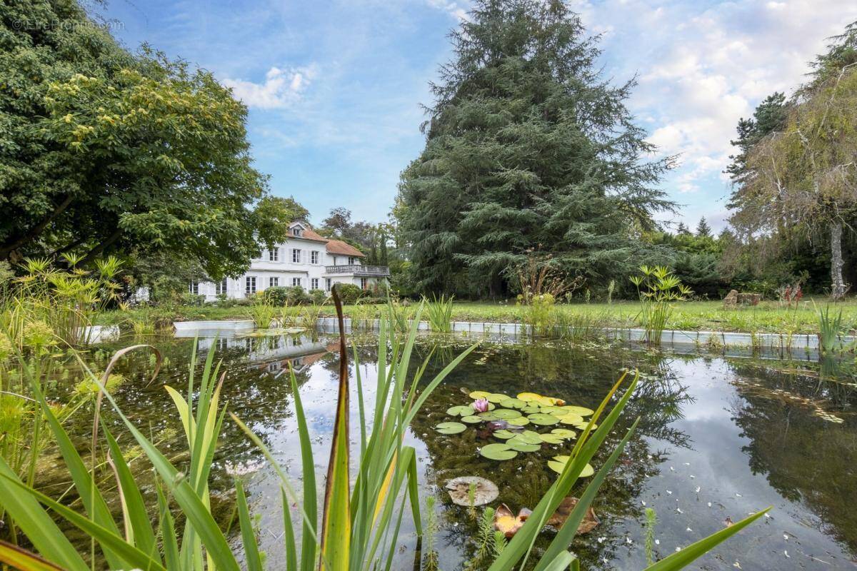 Maison à VILLENEUVE-D&#039;OLMES