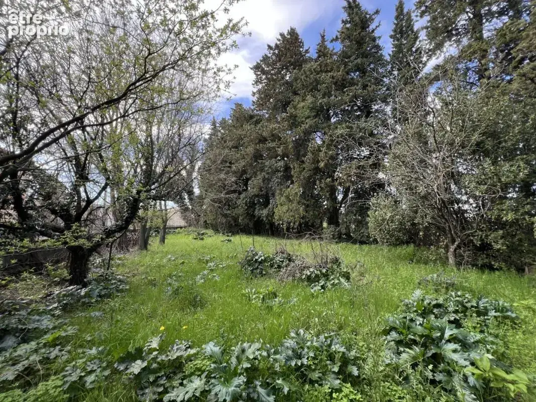 Terrain à CONNAUX