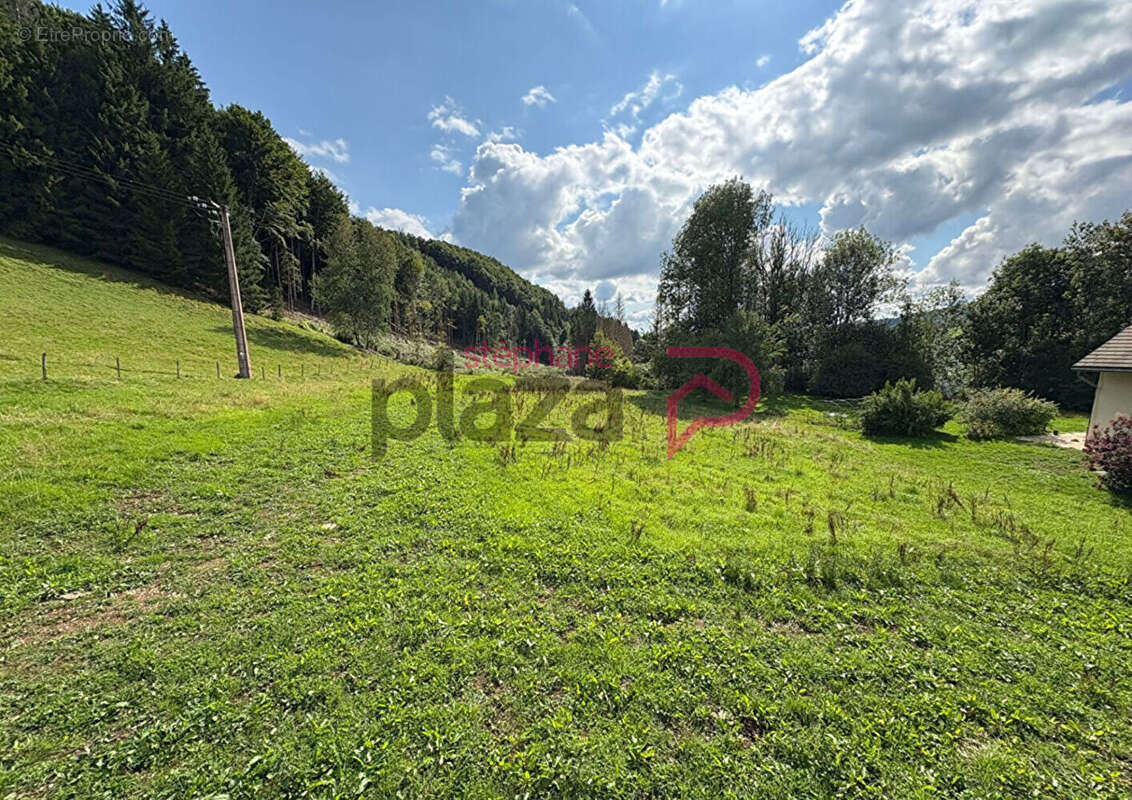 Terrain à FONCINE-LE-HAUT