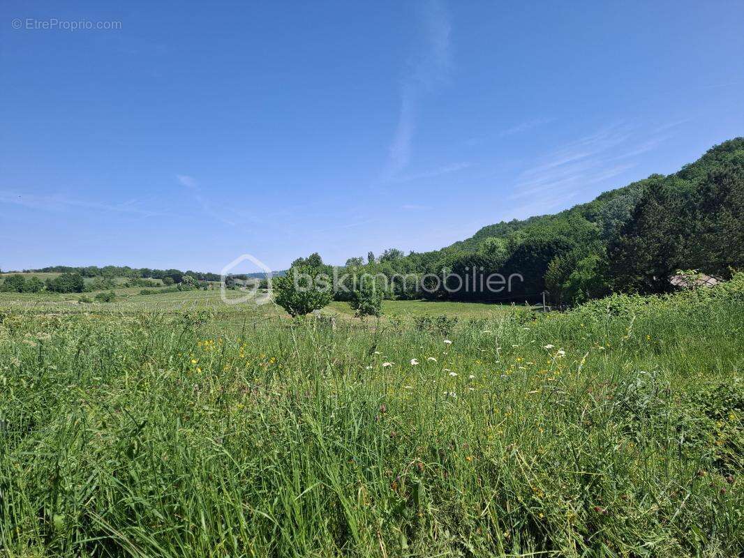 Maison à terminer de 160 m² – Vue campagne – Pessac-sur-Dordogne (33890) - photo 9