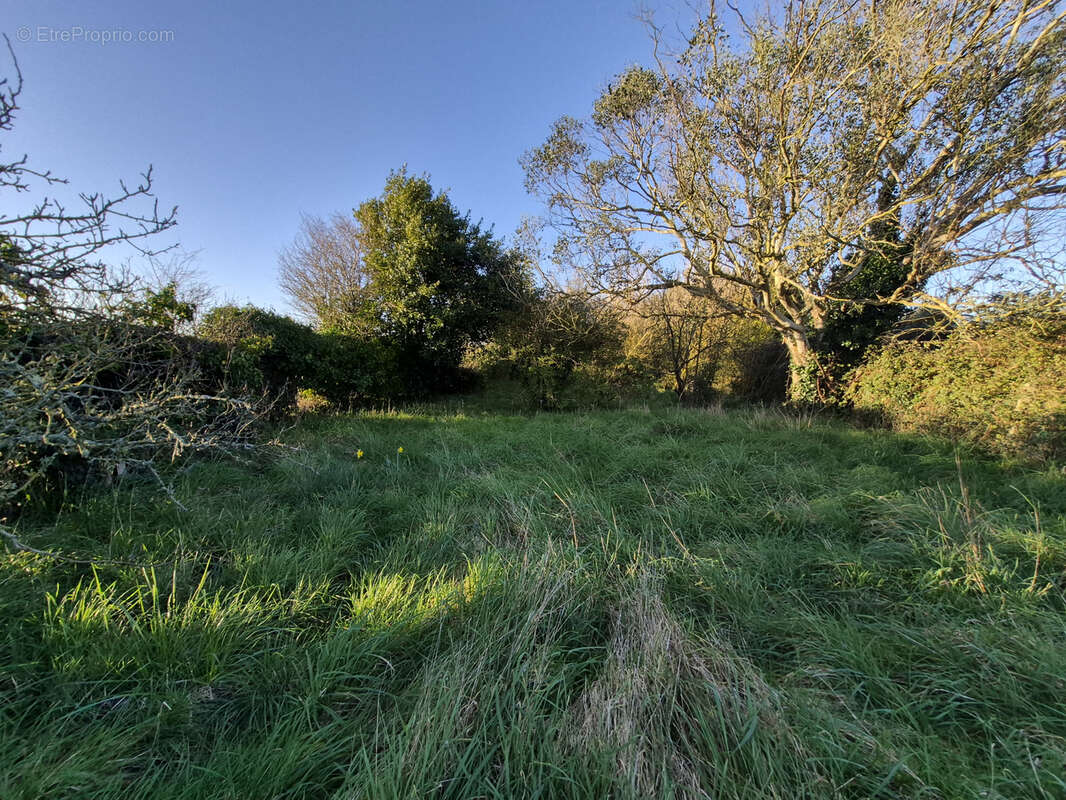 Maison à SAINT-POL-DE-LEON