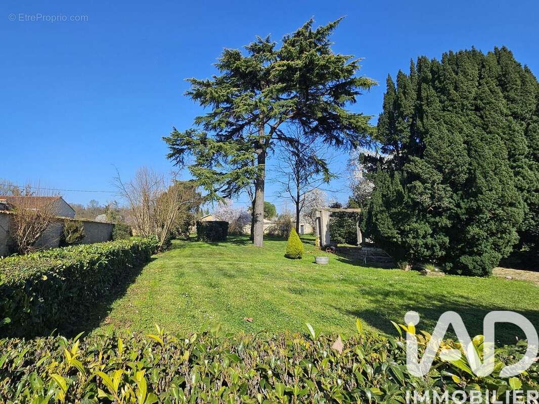 Photo 9 - Maison à COGNAC