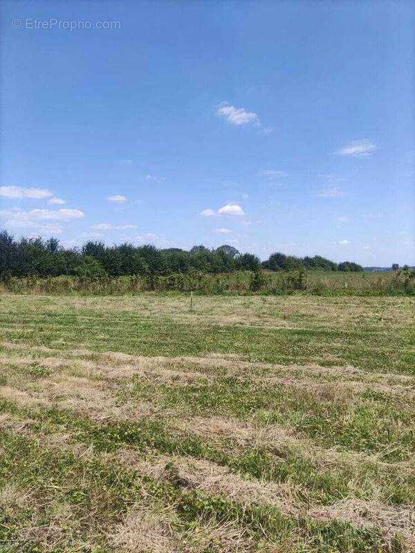 Terrain à FORGES-LES-EAUX