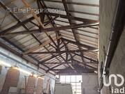 Photo 1 - Appartement à MONTAUBAN