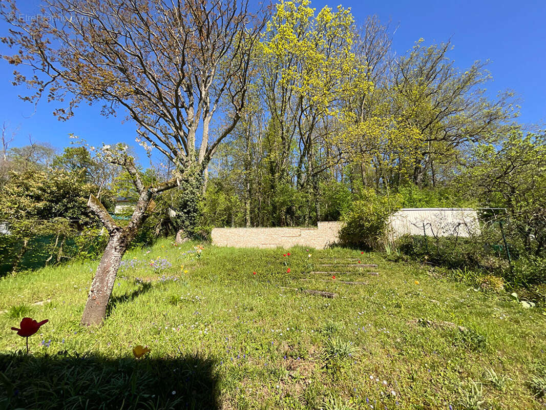 Maison à CHANTELOUP-LES-VIGNES